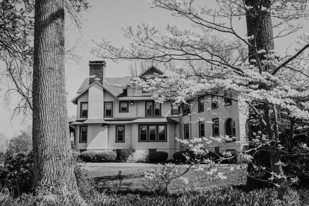 DSC00852-2
